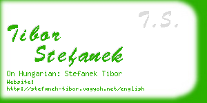 tibor stefanek business card